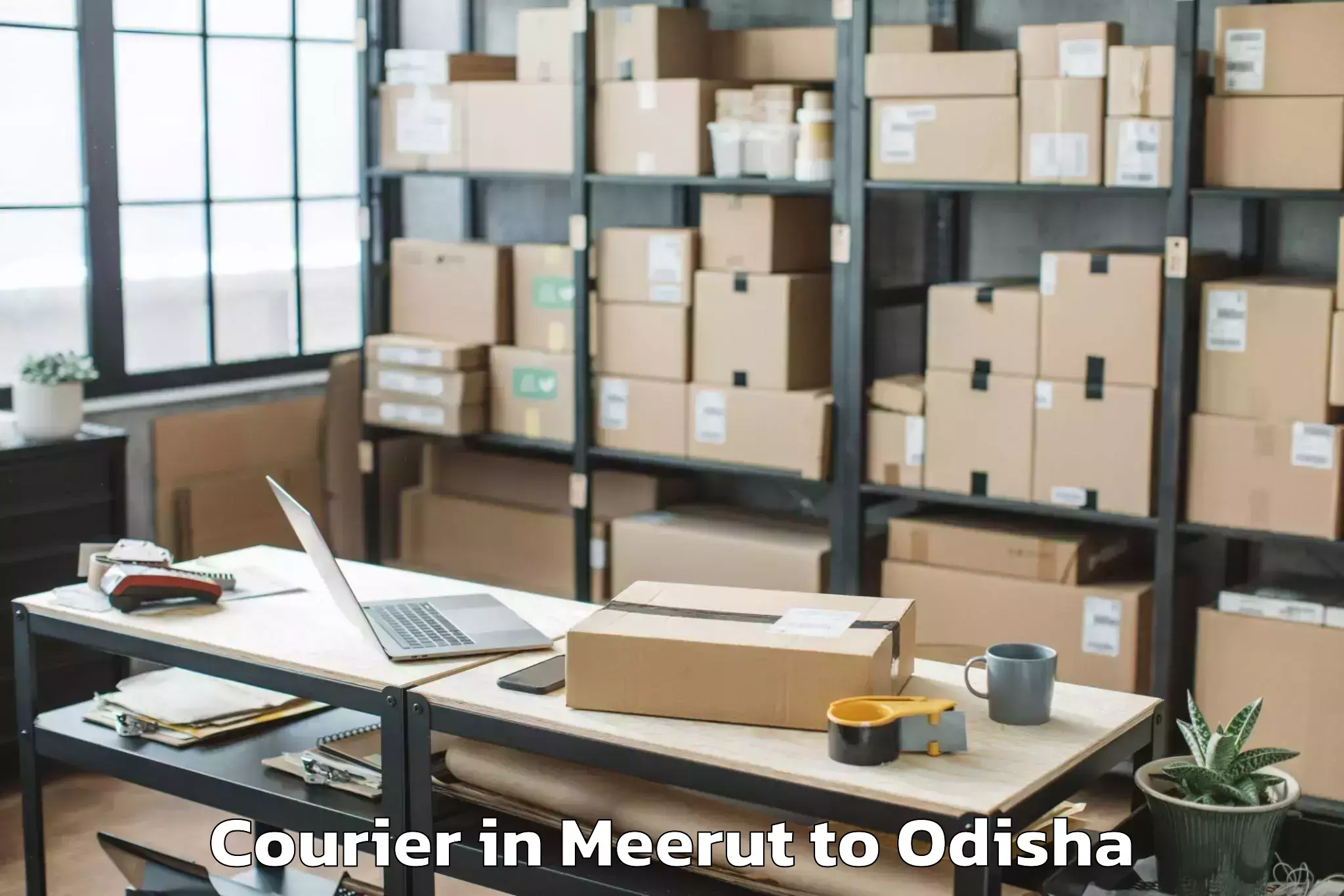 Trusted Meerut to Chikiti Courier